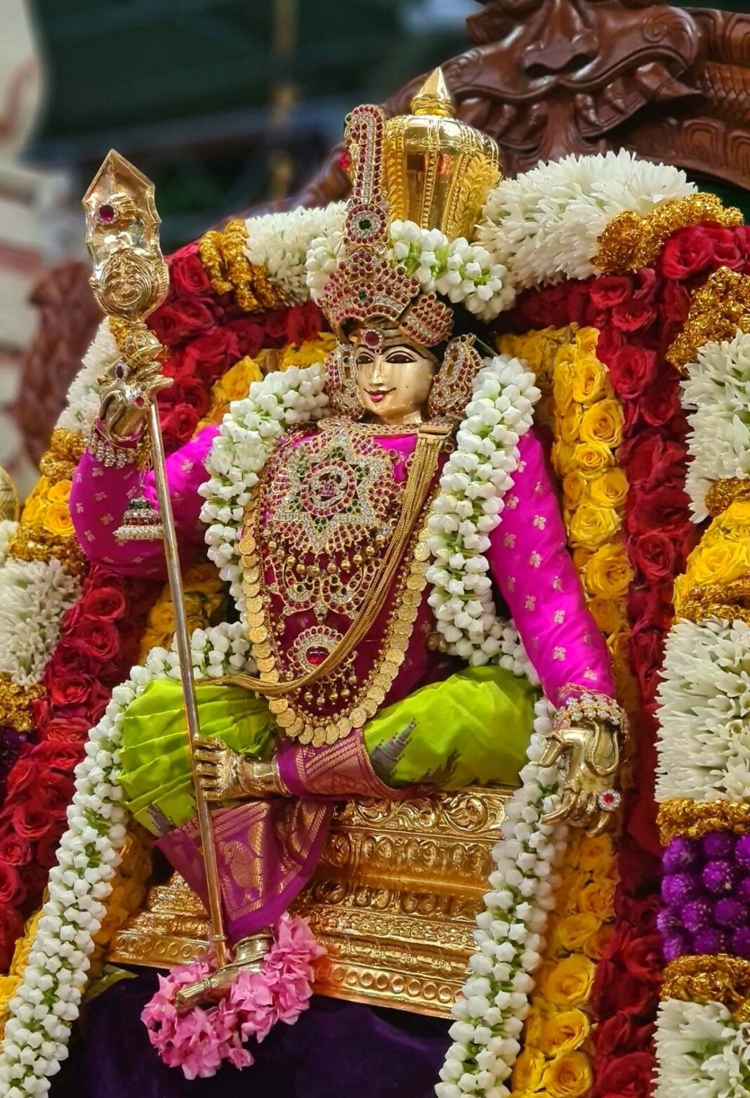 காவடி பால்குடம் சுமந்தும் அலகு குத்தியும்