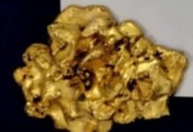 துபாயில் இருந்து கடத்தி வந்த 1.24 கிலோ தங்கம் - சென்னை விமான நிலையத்தில் பறிமுதல்.