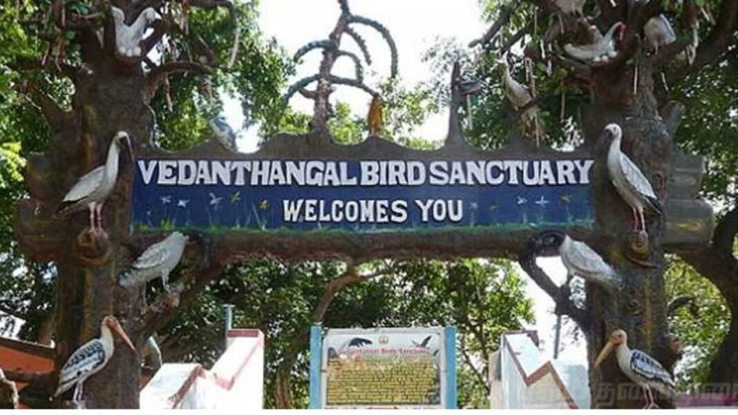 மீண்டும் களைகட்ட தொடங்கிய வேடந்தாங்கள்