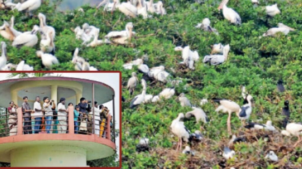 தொடங்கிய